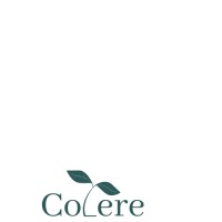 Colere logo - Similar company to Colere Group