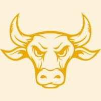 HR Bull Consulting logo - Similar company to Akem