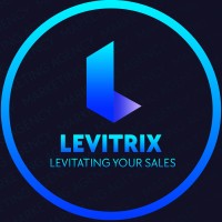 Levitrix logo - Similar company to AlKhizar Technologies (IT Solutions & Certifications)