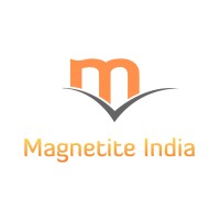 Magnetite India pvt Ltd logo - Similar company to Work Life Win Repeat