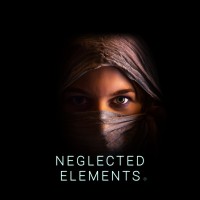 NEGLECTED ELEMENTS logo - Similar company to Moneywise Doctor