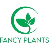 Fancy Plants logo - Similar company to Sprinktech Hygiene Services