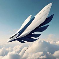 Rajendra Aviation logo - Similar company to Snap Robotics