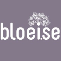 Bloeise logo - Similar company to Vibe Coders