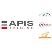 APIS Holding LLC logo - Similar company to Steel Work