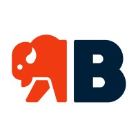 Bison Commerce logo - Similar company to Gritmind