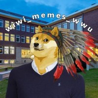 wiwi_memes_wwu logo - Similar company to Accounting & Controlling-Akademie