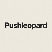 Pushleopard logo - Similar company to Sigma Unit