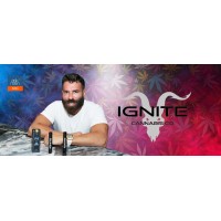 Ignite INC. logo - Similar company to Ignite Spirits