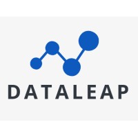 DataLeapHQ logo - Similar company to Vishanti Ai