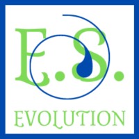 E.S. Evolution logo - Similar company to Hr Evolution Llc