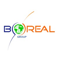 BOREAL GROUP logo - Similar company to Reverso Côte D'Ivoire