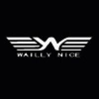 waillynice logo - Similar company to Huixiang Case