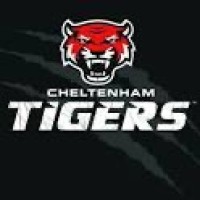 Cheltenham Tigers RFC logo - Similar company to Melrose Rugby Ltd