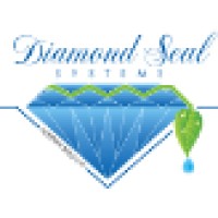Diamond Seal Systems logo - Similar company to Elon Knut Pers