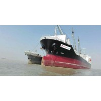 Panocean Limited Bangladesh logo - Similar company to Solar Shipping Lines