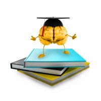 Smart Study Choice logo - Similar company to Vlaamse Stem Olympiade