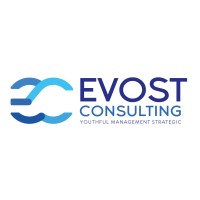 EVOST Consulting logo - Similar company to Vision Setup