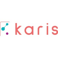 Karis Digital logo - Similar company to Peech Care