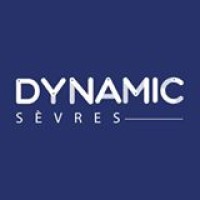 Dynamic Sevres logo - Similar company to Devolut.Io