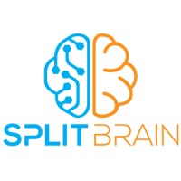 Splitbrain logo - Similar company to Warren Cloud Platform