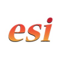 Easystepin-2019 logo - Similar company to Zendata Integration