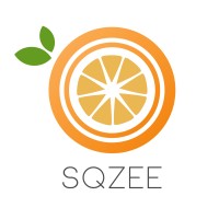 Sqzee logo - Similar company to Fintegra Llc