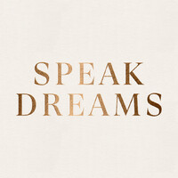 Speak Dreams logo - Similar company to Smartcontact