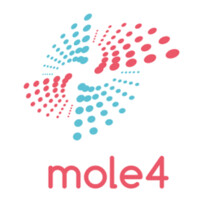 Mole Consulting logo - Similar company to Excelyvba