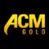 ACM Gold and Forex Trading logo - Similar company to Forex World