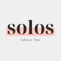Solos labour law logo - Similar company to Biedra
