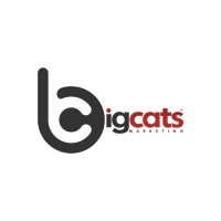 Bigcats Private Limited logo - Similar company to Laser Focused Solutions