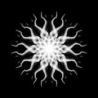 Fede Bianchi Art logo - Similar company to Tsunun