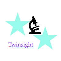 Twinsight, LLC. logo - Similar company to Hseq Global