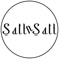 Salt N Salt logo - Similar company to Fusion Cortex