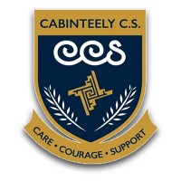 Cabinteely Community School logo - Similar company to A Few More Steps