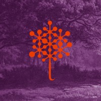 Tree Comunicação logo - Similar company to Brain