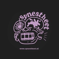 Synestheet logo - Similar company to Oorkaan