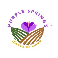 Purple Springs logo - Similar company to Resolv360 Consulting Services