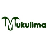 MukulimaSoko logo - Similar company to Nkinab Sarl
