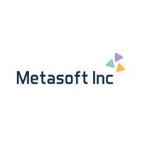Meta Soft Inc logo - Similar company to Addon Technologies Inc