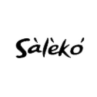 Saleko Nigeria logo - Similar company to Getmedco