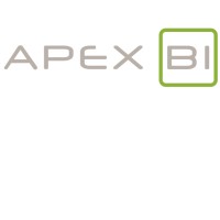 Apex BI logo - Similar company to Innovative Telecom Solutions