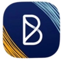 Blink Synse logo - Similar company to Maison 22