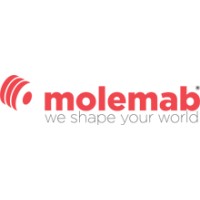 Molemab Ibérica SLU logo - Similar company to Wolverine Special Tool Inc.