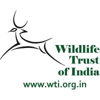 Wildlife Trust of India logo - Similar company to Indian Bird Conservancy - Ibc