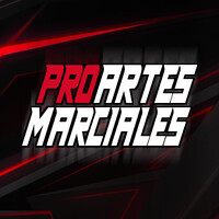 Pro Artes Marciales logo - Similar company to Stunt Milano - Stunt Action Team Since 2008