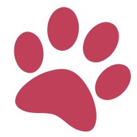 Pawsr