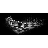 Chess Coach Mike logo - Similar company to Vancor Impex Pvt. Ltd. (Chessbazaar.Com)