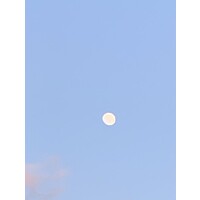 muslimunlimited.org logo - Similar company to Choho.Com
